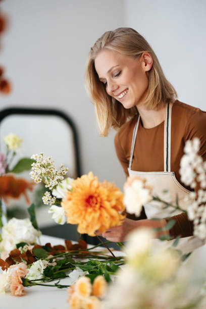 Lanzamiento producto